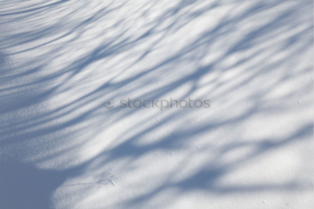 Similar – Image, Stock Photo winter art Nature Water