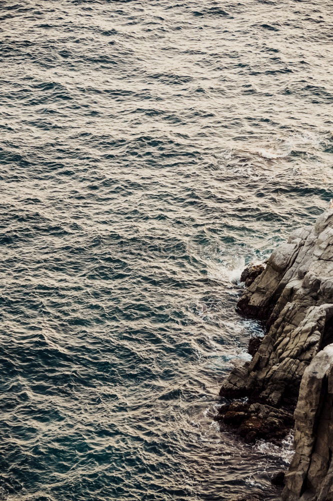 Similar – cornish cliffs Environment