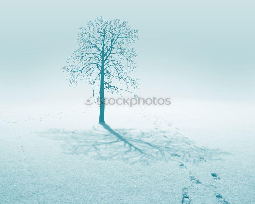 Similar – Image, Stock Photo wind chill Adventure