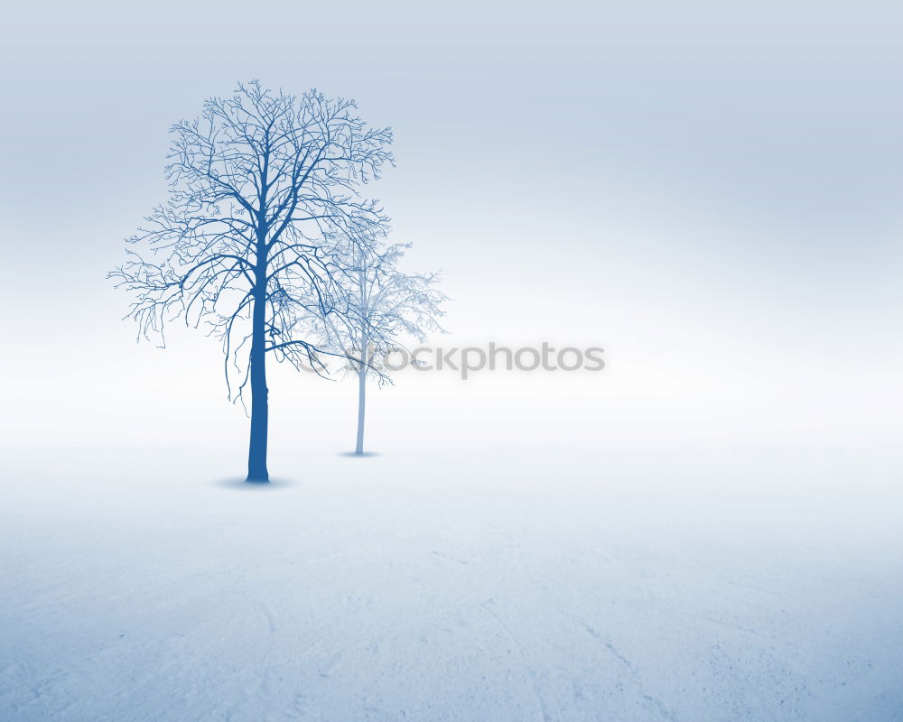 Similar – Image, Stock Photo Winter and evening atmosphere in the Black Forest