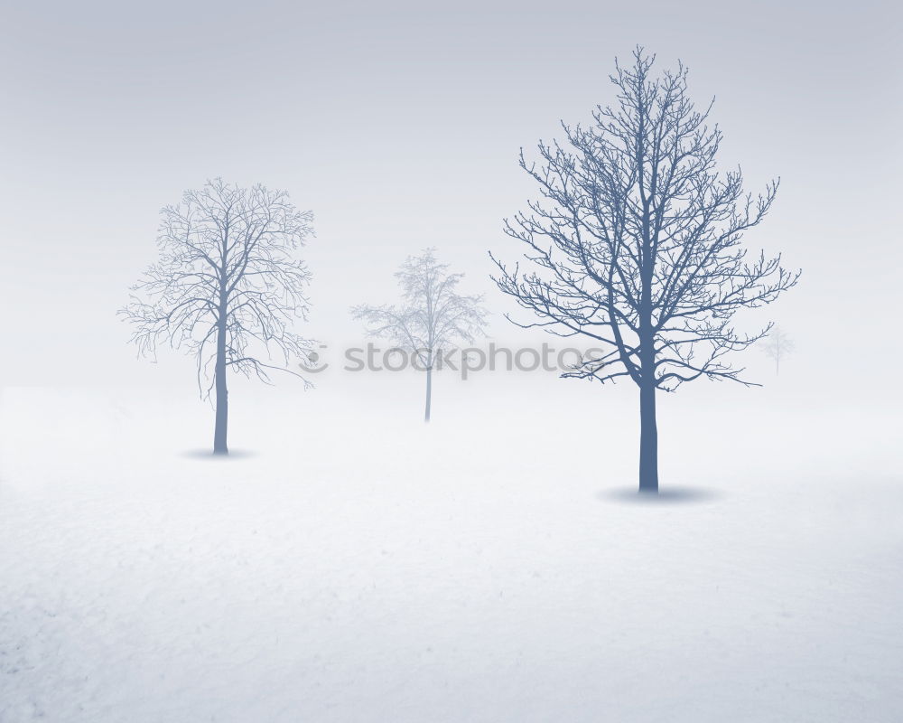 Similar – Image, Stock Photo snow flurries Environment