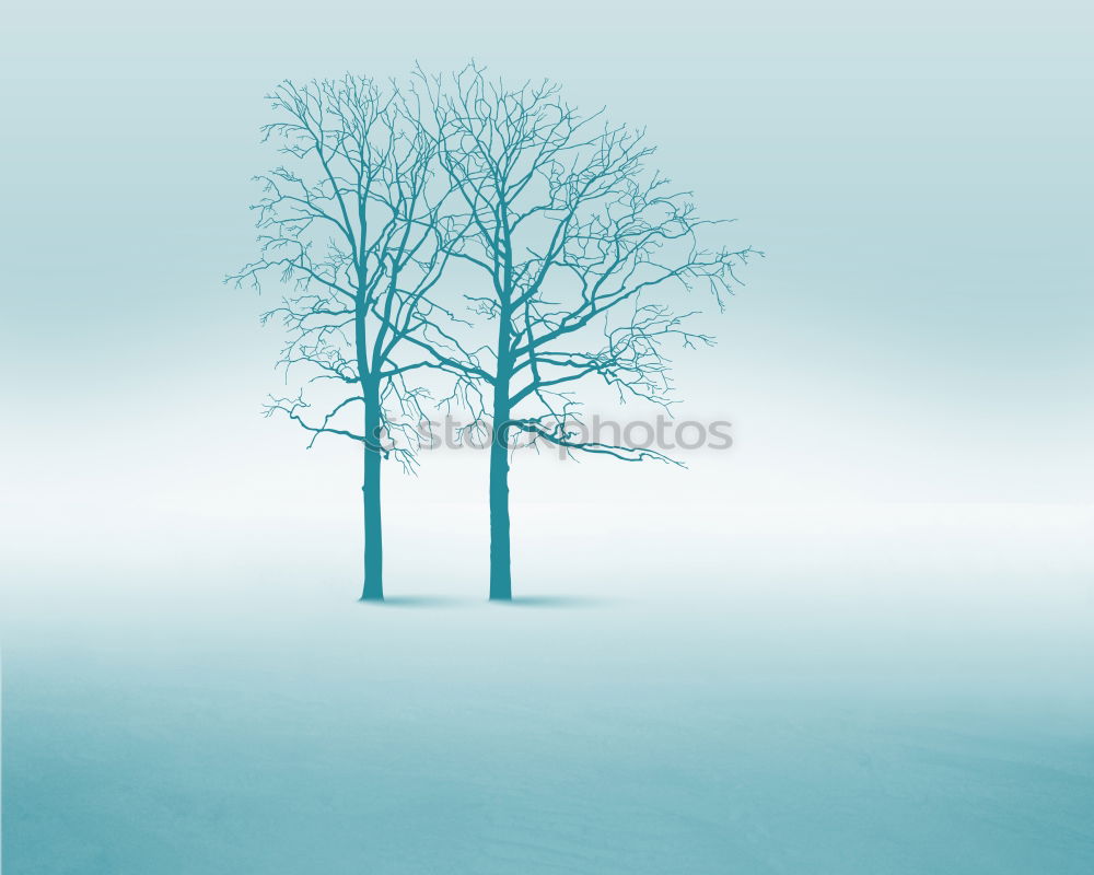 Image, Stock Photo Winter and evening atmosphere in the Black Forest