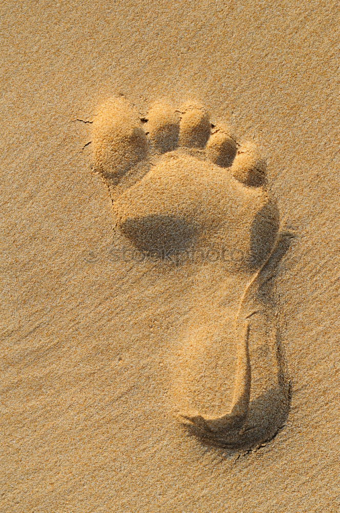 Image, Stock Photo beach sand walk Beach