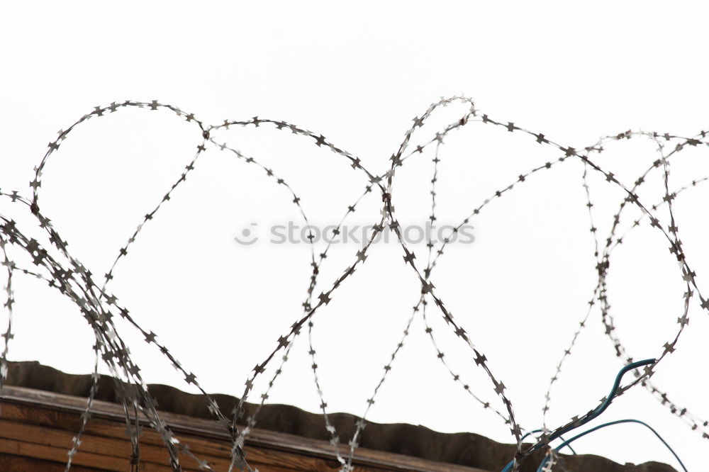 Similar – Fencing of sensitive sites with barbed wire. Barbed wire. Restriction of freedom. Prison fence. Forbidden territory. The concept of security. The concept of the ban.