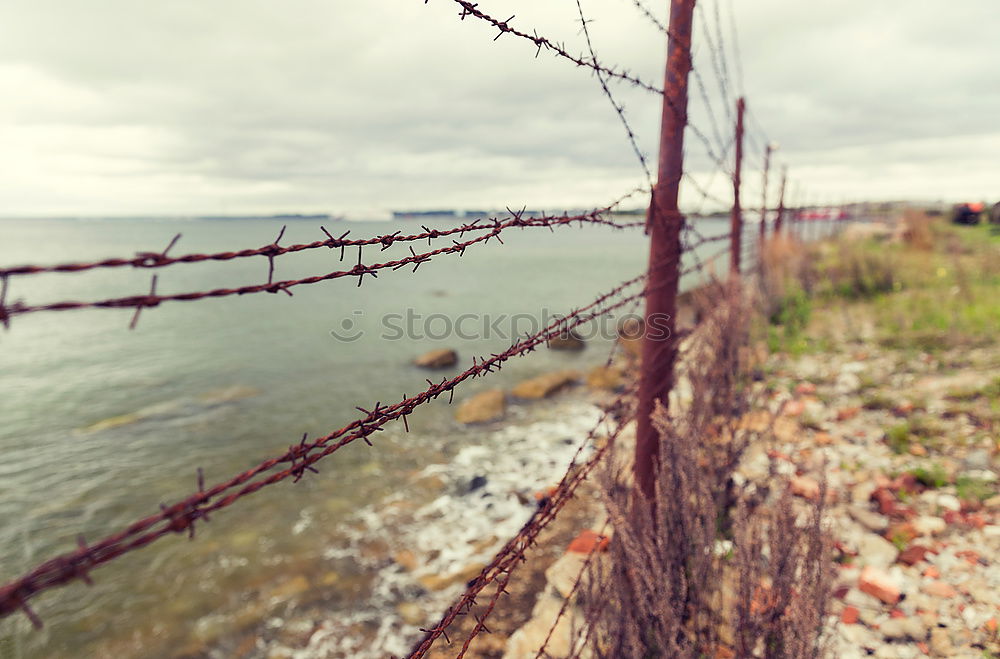 Similar – Foto Bild curiosity Ferne Freiheit