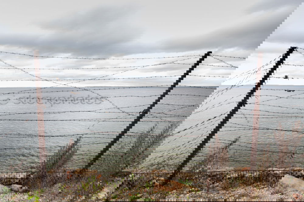 Similar – Foto Bild curiosity Ferne Freiheit
