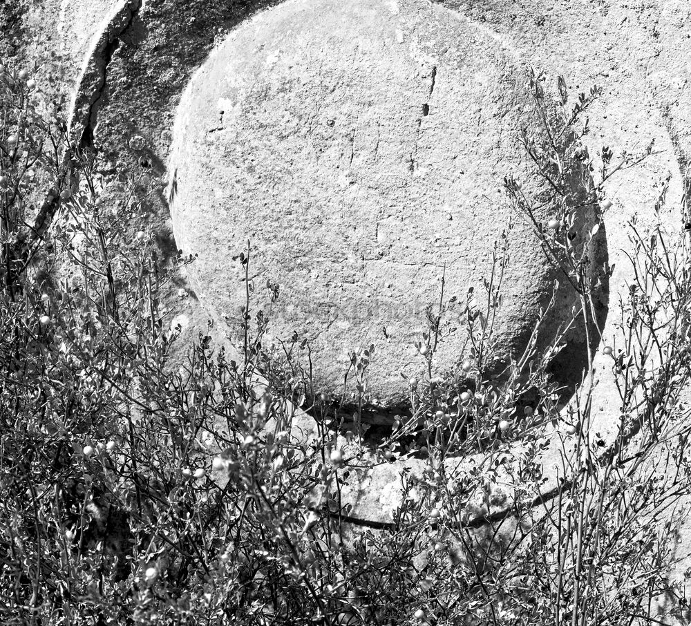 Similar – Image, Stock Photo no V Nature Rock Stone