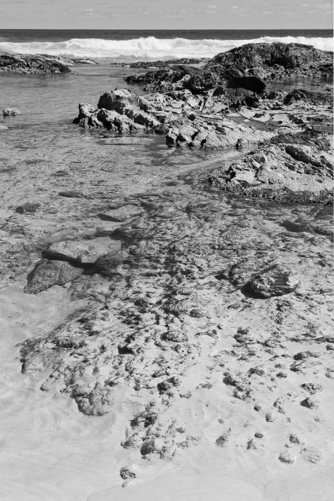 Similar – mudflat landscape