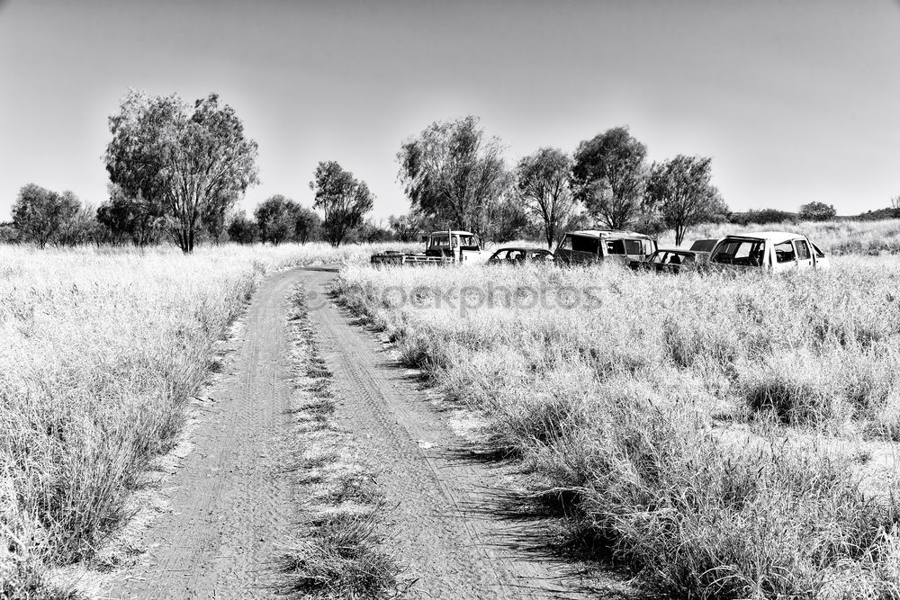 Similar – Foto Bild The old plow Feld Pflug