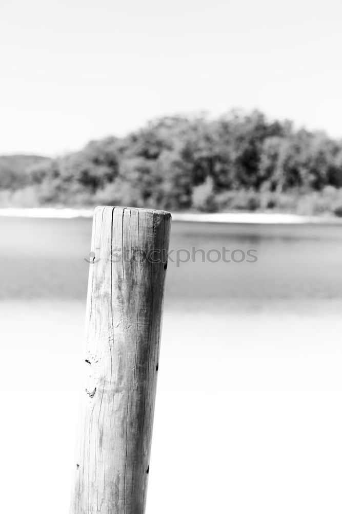 Similar – Image, Stock Photo farewell Harbour tour