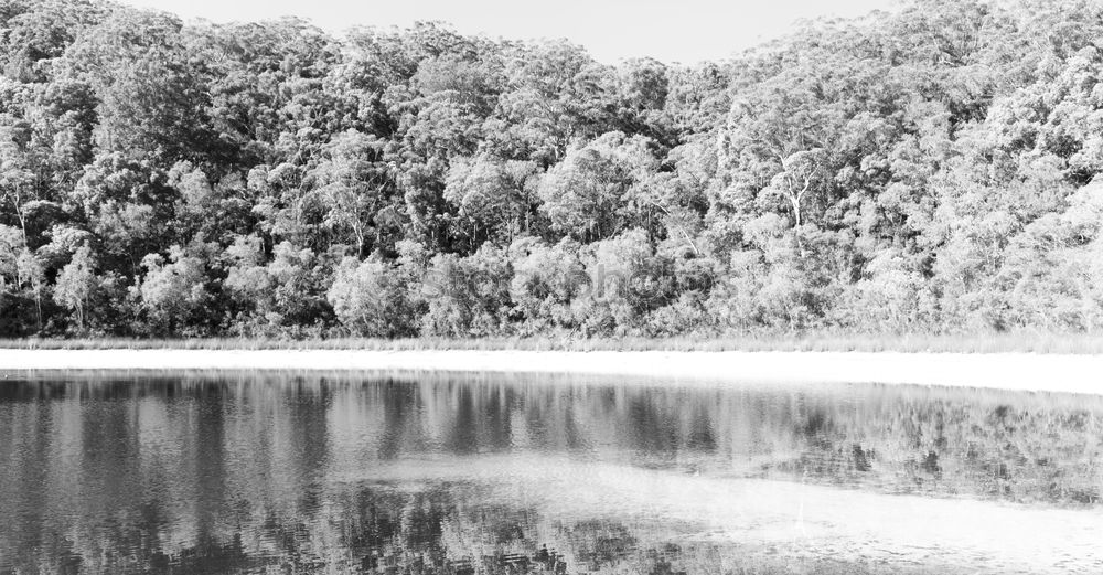 Similar – Foto Bild Drei Haselnüsse für Aschenbrödel