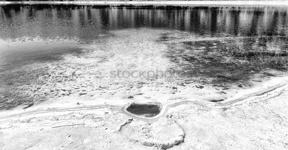 Similar – mudflat landscape