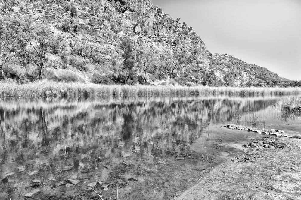 Similar – Seepanorama Natur