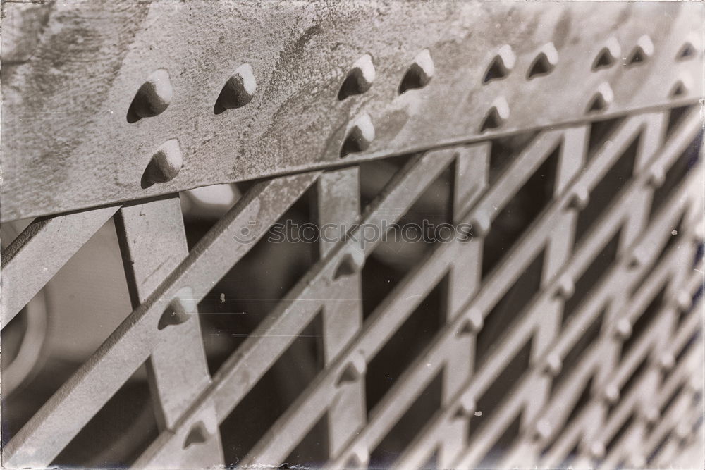 Similar – Image, Stock Photo egg box Eggs cardboard