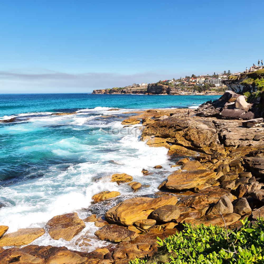 Similar – Image, Stock Photo Bondi Beach II Lifestyle