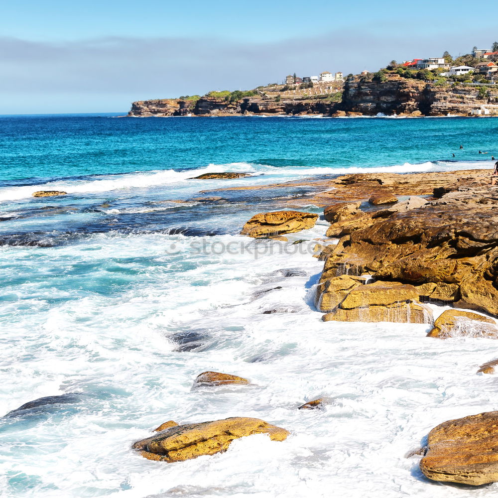 Similar – Cemetery in Sydney