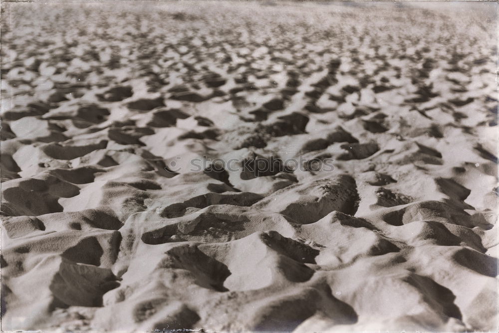 Similar – Image, Stock Photo Landart-flowers in desert