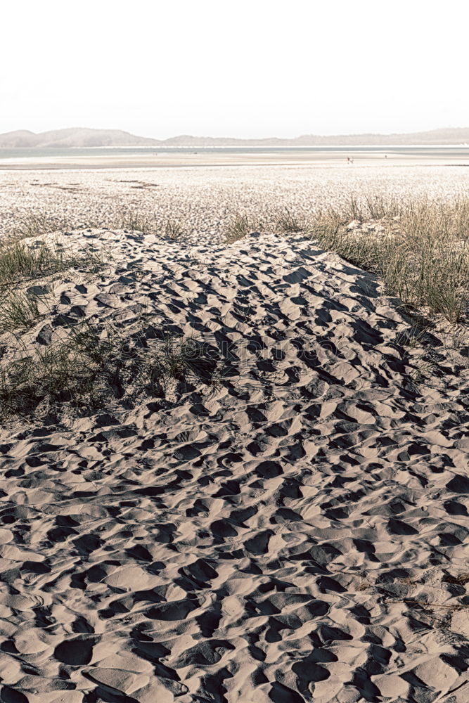 Similar – Foto Bild Strandlauf Freiheit Sonne