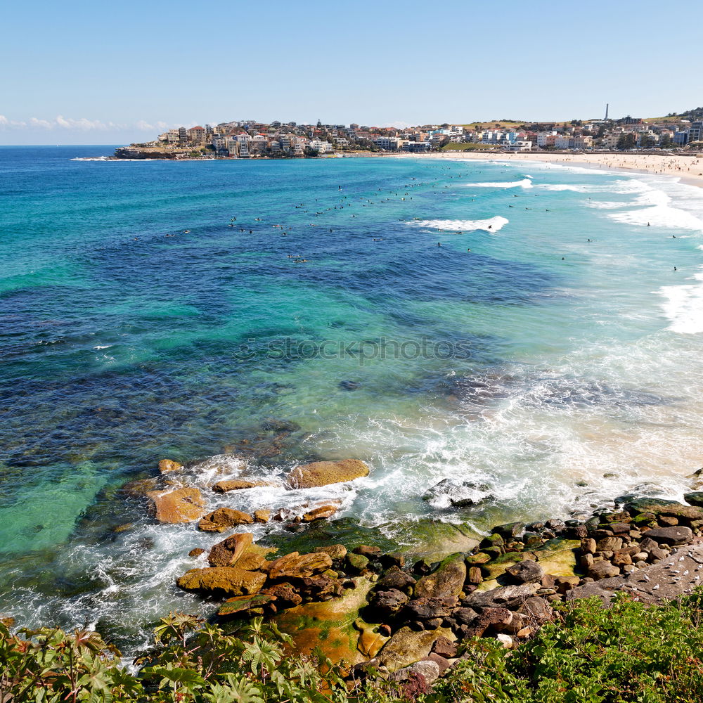 Similar – Image, Stock Photo Bondi Beach I Lifestyle