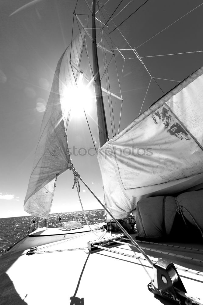 Similar – Image, Stock Photo sailing Aquatics Sailing