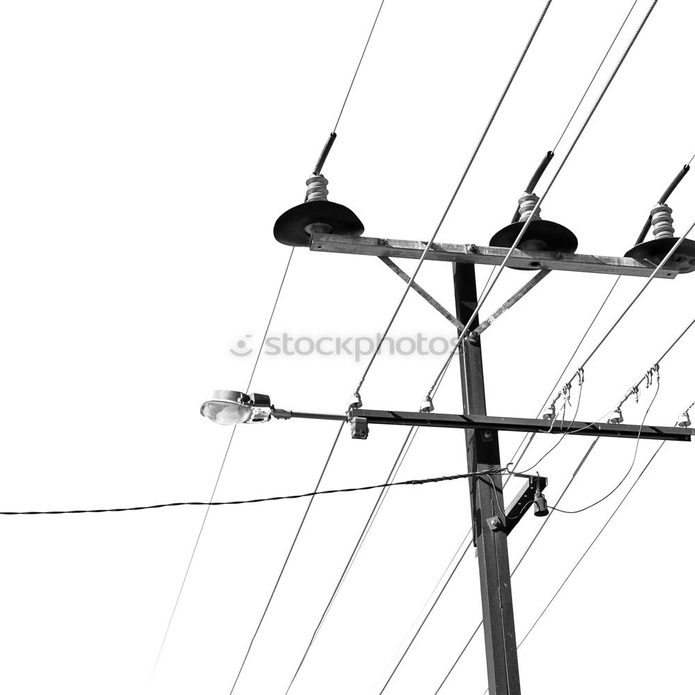 Similar – Image, Stock Photo three black pigeons Sky