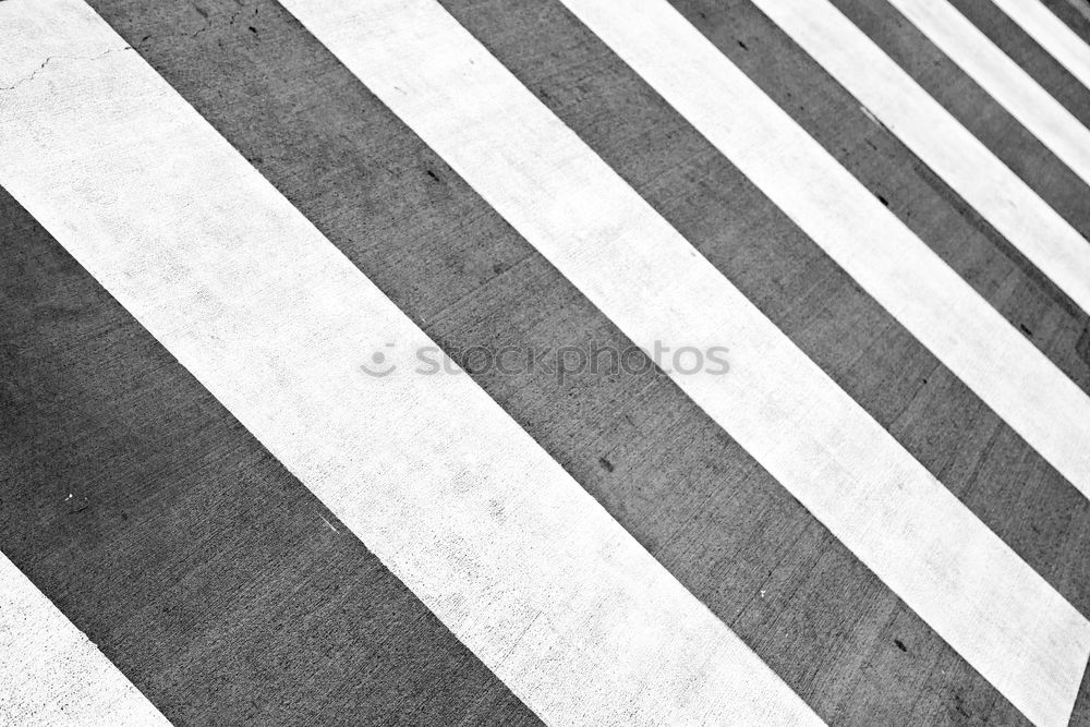 Similar – Image, Stock Photo Lines (radial vs. diagonal)