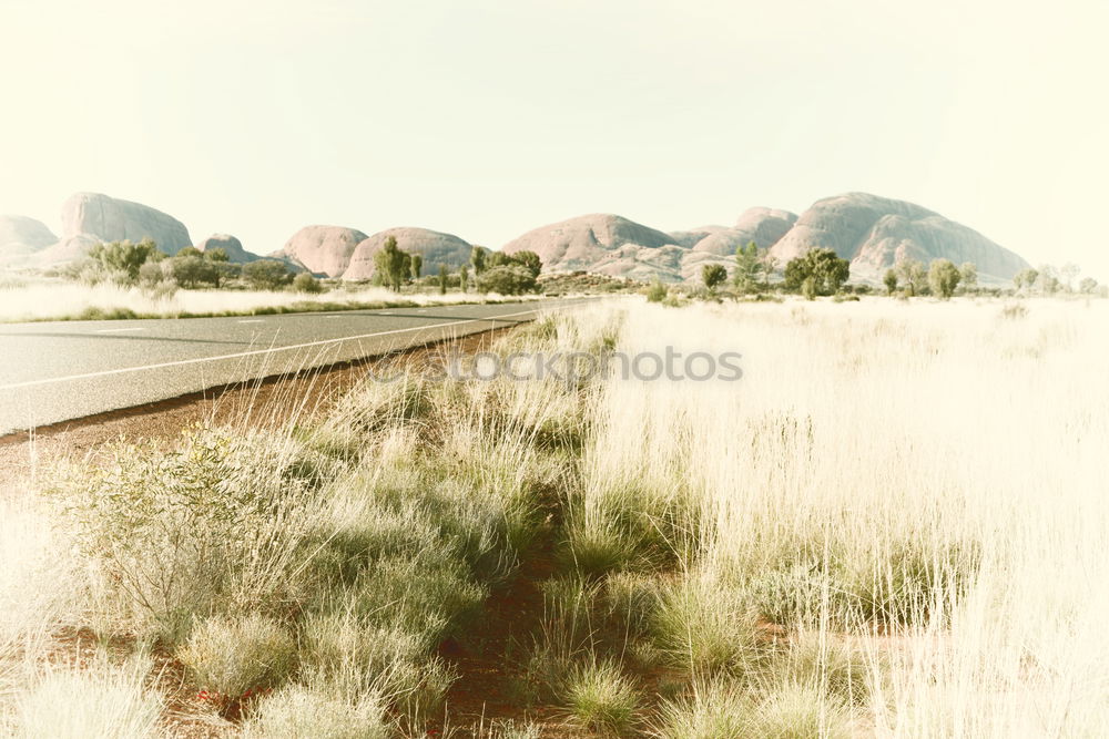 Similar – steppe Landscape