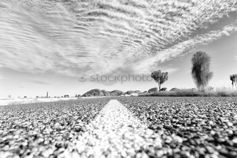 Similar – fog Fog Tree Horizon Field