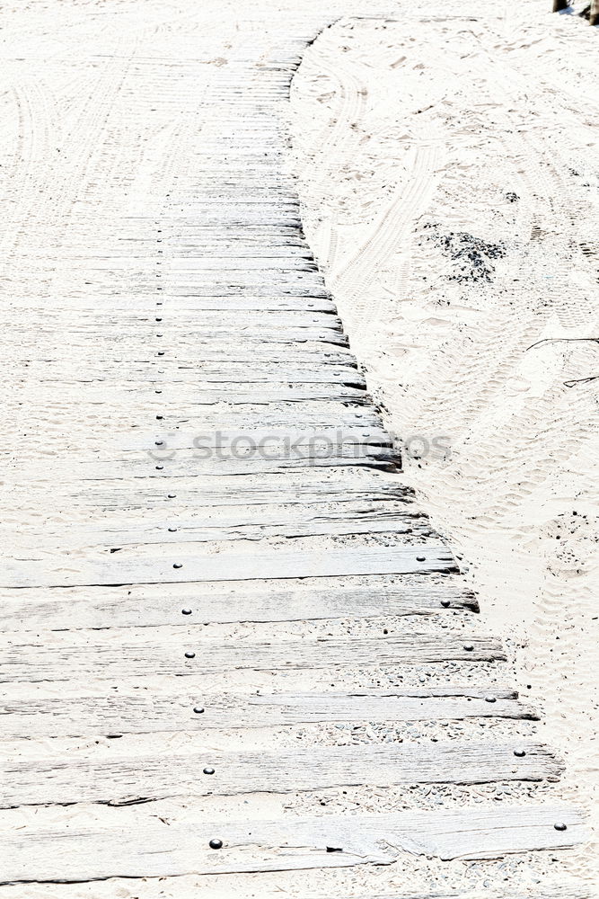 Similar – Image, Stock Photo Lübeck Plant Grass