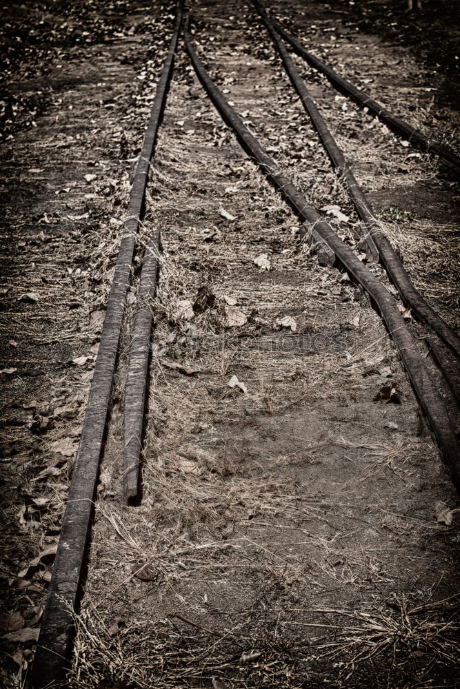 Similar – Image, Stock Photo rails Railroad tracks