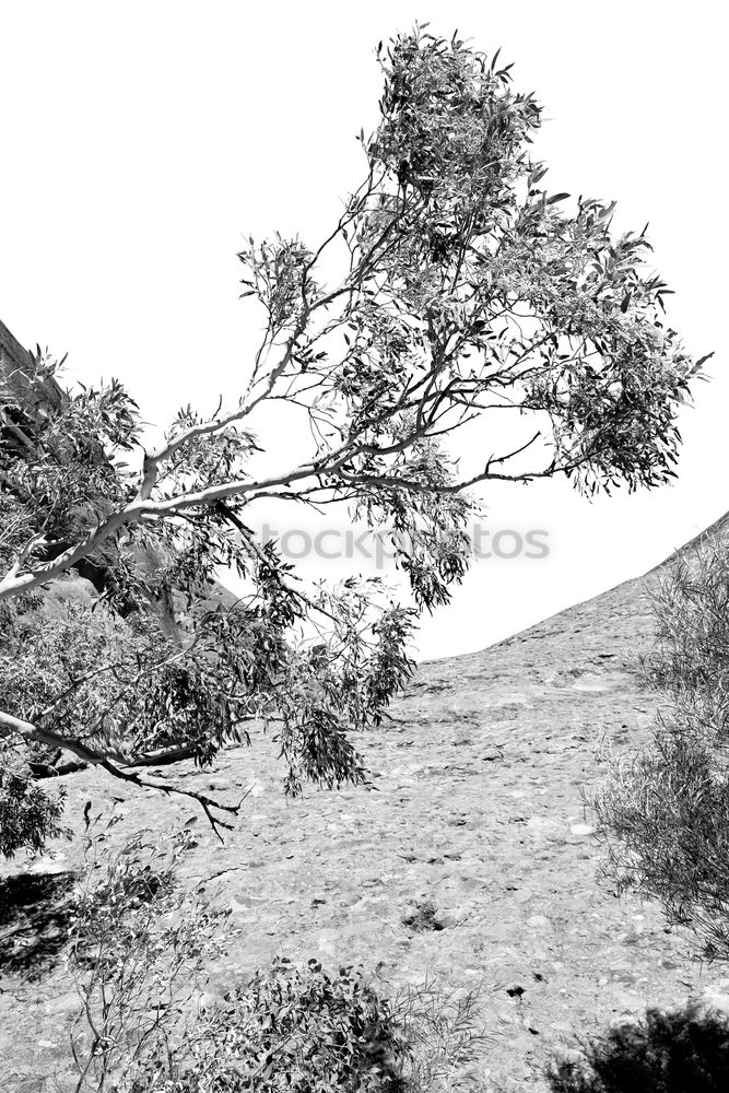 Similar – Image, Stock Photo western beach Environment