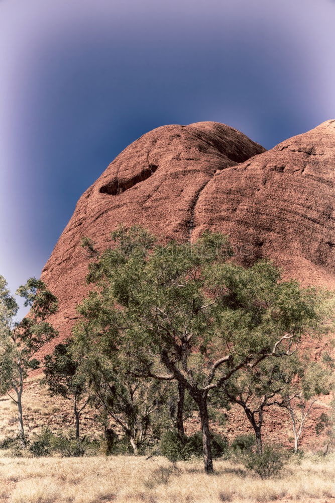 Image, Stock Photo playground of the giants