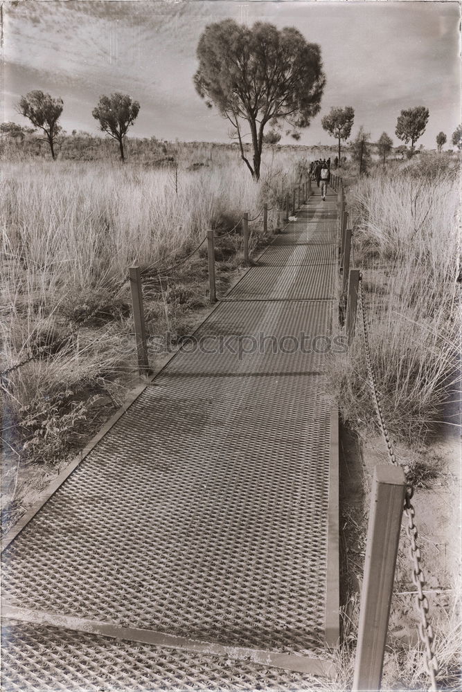 Similar – Image, Stock Photo Old country road with poor asphalt is passed by trees a horseshoe in the foreground . In the distance a human figure disappears in the haze of the distance.