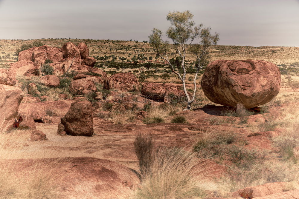 Similar – red planet Landscape