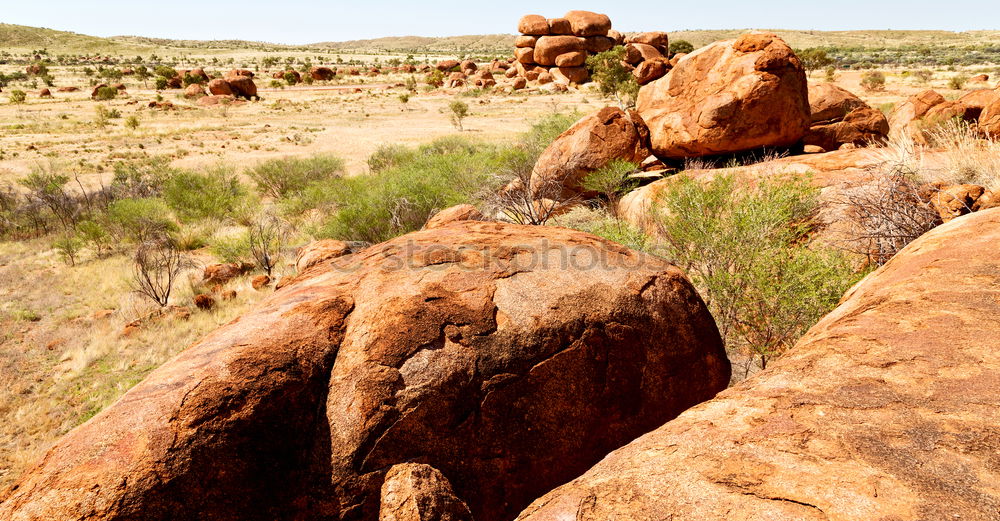 red planet Landscape