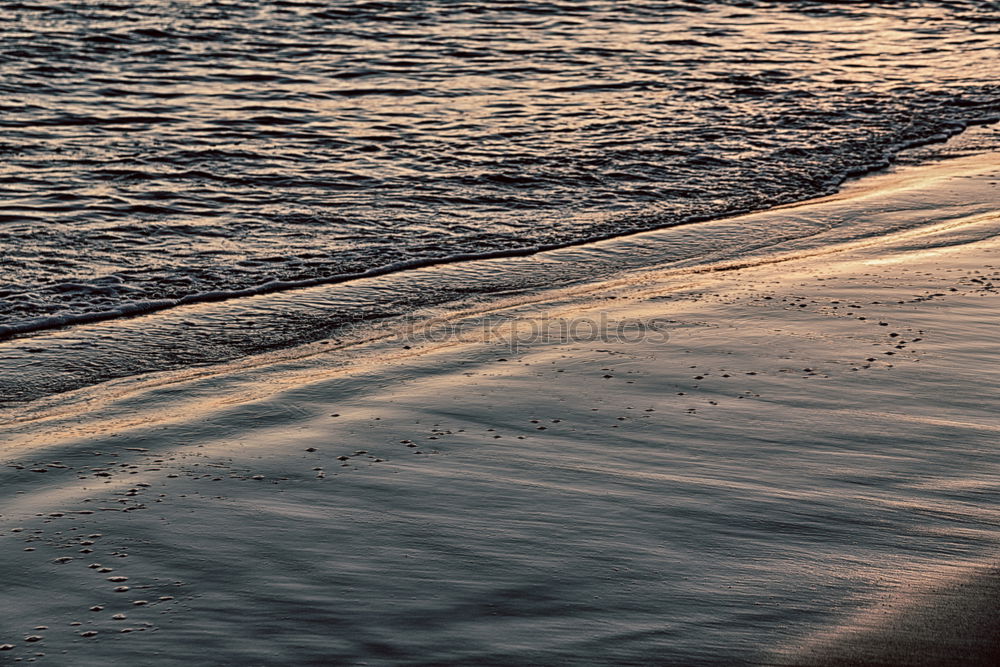 Similar – Image, Stock Photo rail shadow Animal Water