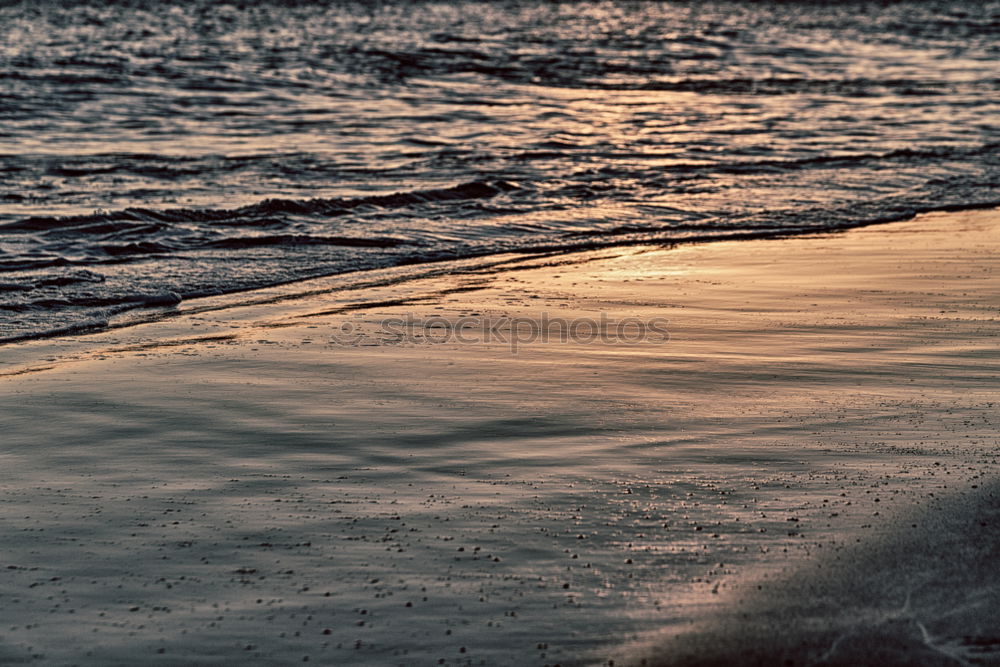 Similar – Image, Stock Photo sand growth Moody Green