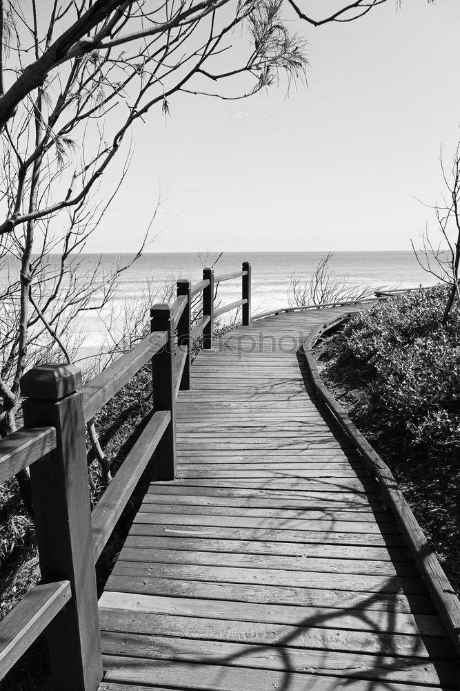 Similar – Foto Bild silence II Holz ruhig Steg