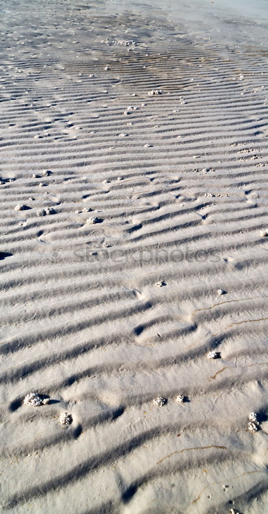 Similar – Image, Stock Photo Traces in the sand