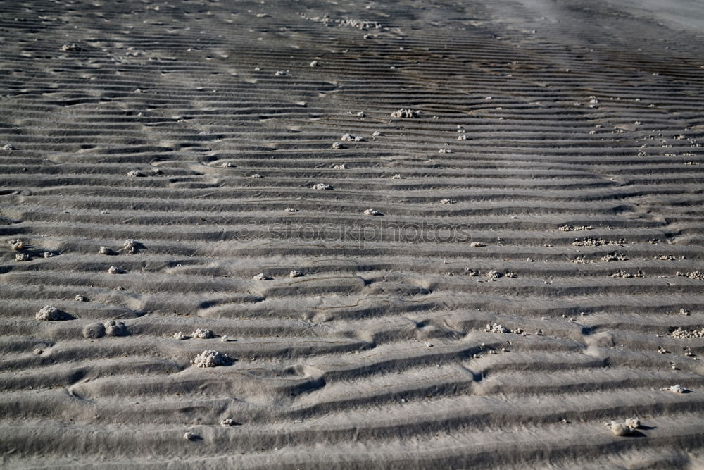 Similar – bodenlos Meer See Muschel