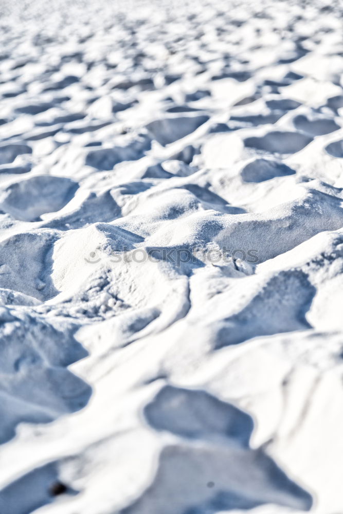 Viele Spuren Umwelt Natur