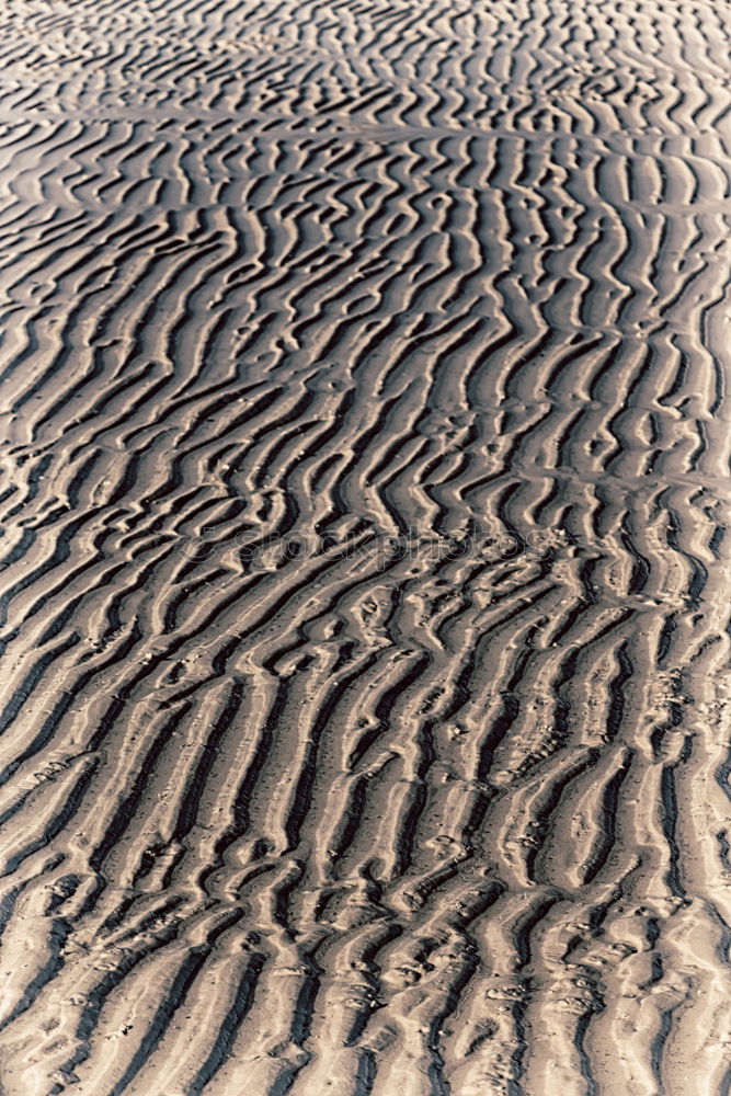 Similar – Aerial photo: Muschelberge