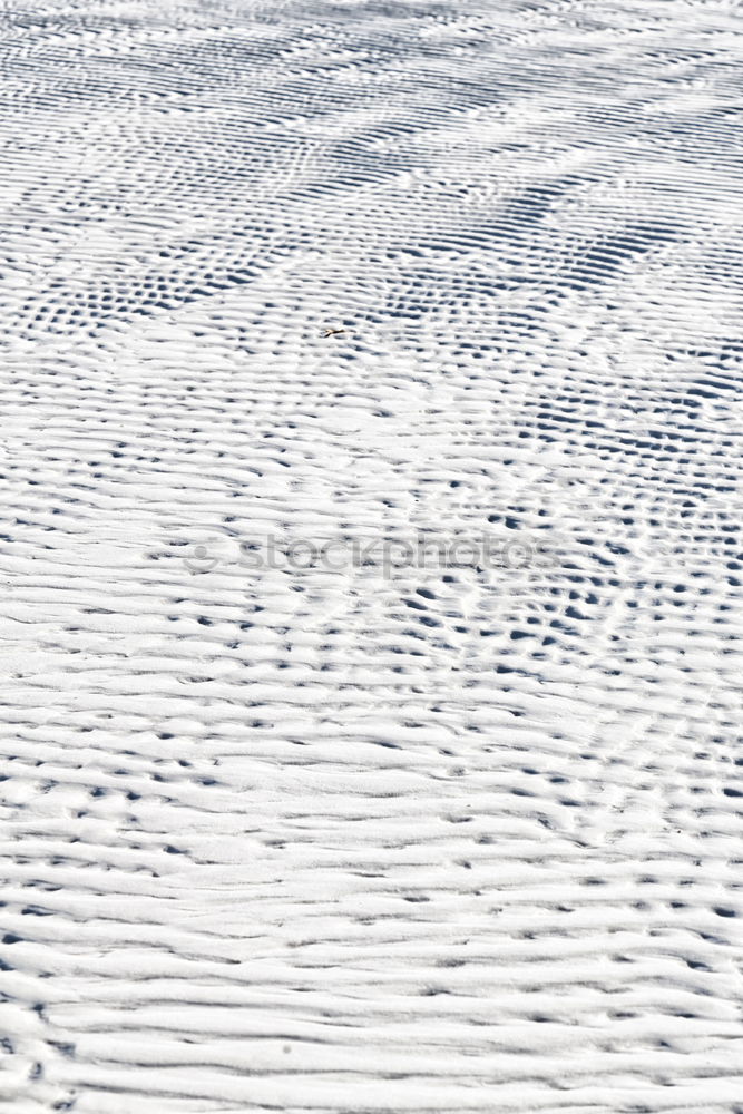 Similar – water jetty Water Sky Wood