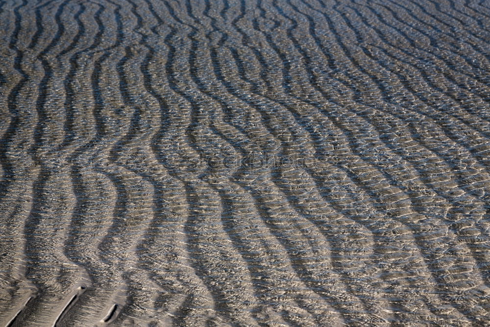 Similar – bodenlos Meer See Muschel