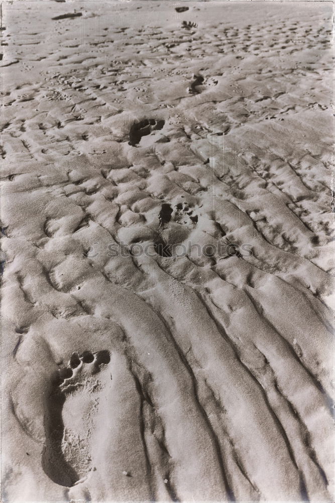 Similar – Foto Bild Regentropfen See grau