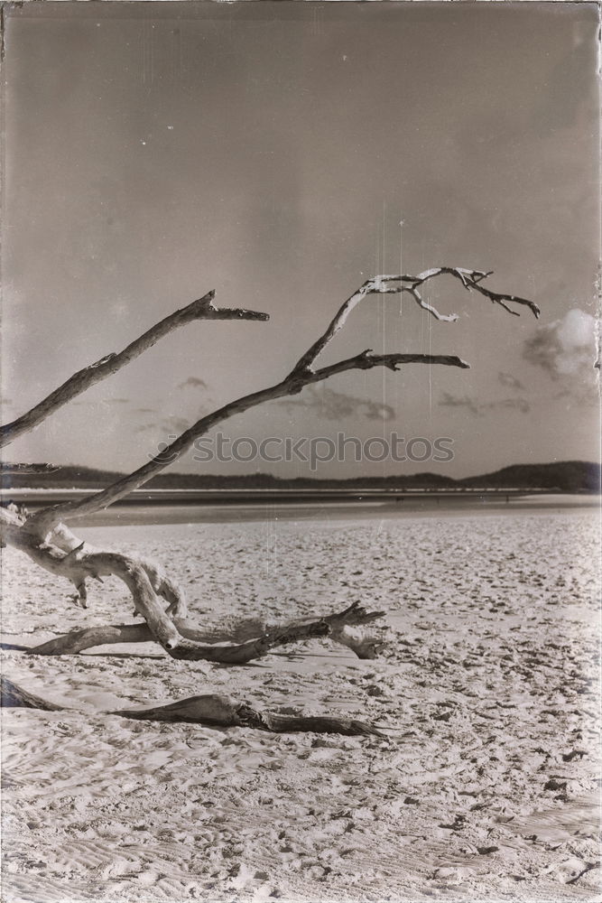 Similar – Image, Stock Photo western beach Environment