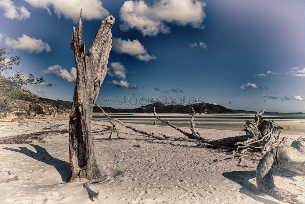 Similar – western beach Environment