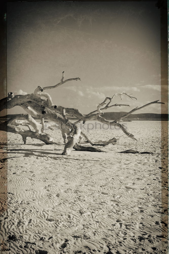 Similar – Image, Stock Photo western beach Environment