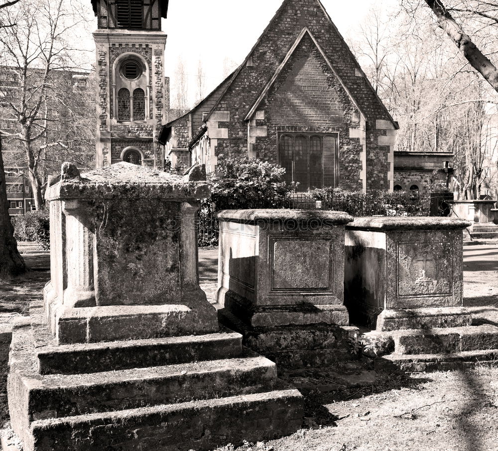 graveyard Berlin