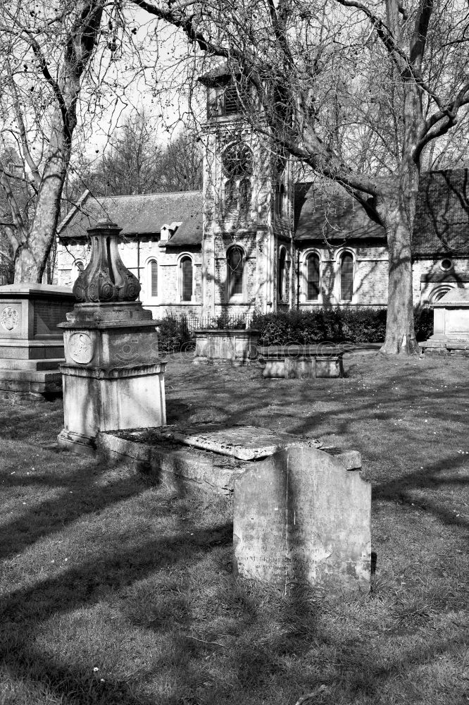 Similar – graveyard Berlin